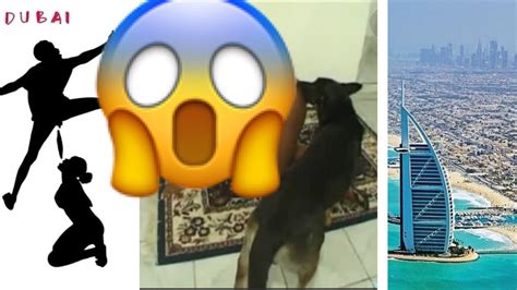 Dubai Porta Potty Chien Video Affaire Dubaï Porta Potty : des influenceuses dans une affaire gênante avec  les chiens – Nishamag